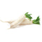 Radish - White