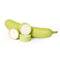 Bottle Gourd