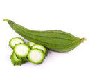 Ridge Gourd