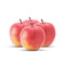Apple - gala
