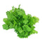 Coriander Leaves