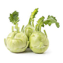 Knol Khol