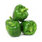 Capsicum - Green