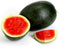 WATERMELON KIRAN 1.5 KG TO 2.2 KG